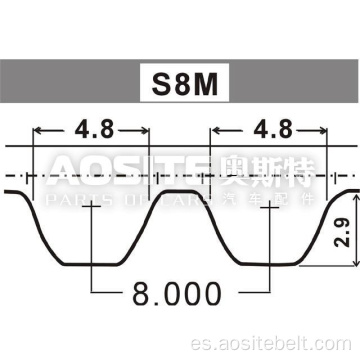 Correa de sincronización Audi A3 (8L1)